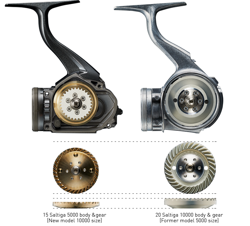SALTIGA 20 SPIN REELS