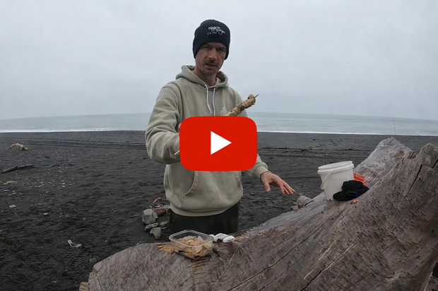 Banner image for: <h1>How to bait Mussels</h1>