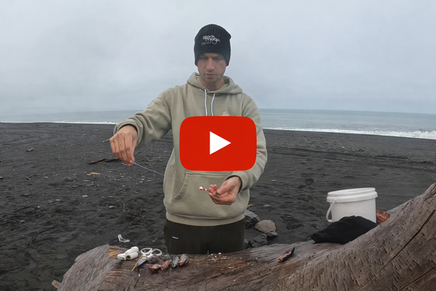 Banner image for: <h1>How to bait Pilchard </h1>