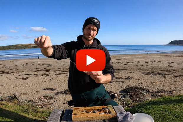 Banner image for: <h1>How to bait Crab for Surfcasting</h1>