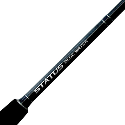 BEASTMASTER 9000A & STATUS BLUEWATER COMBO